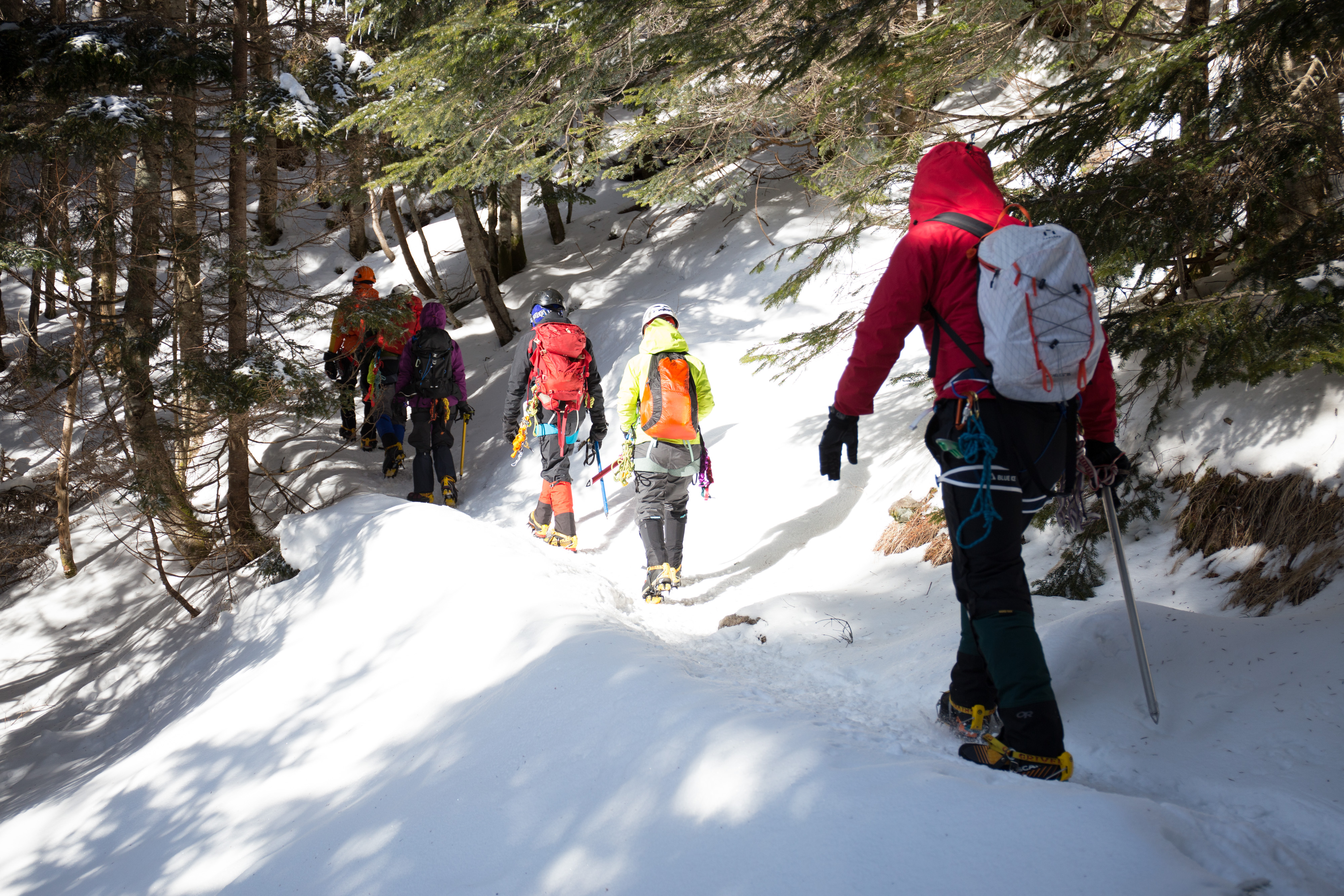 Mountaineering(Japan)